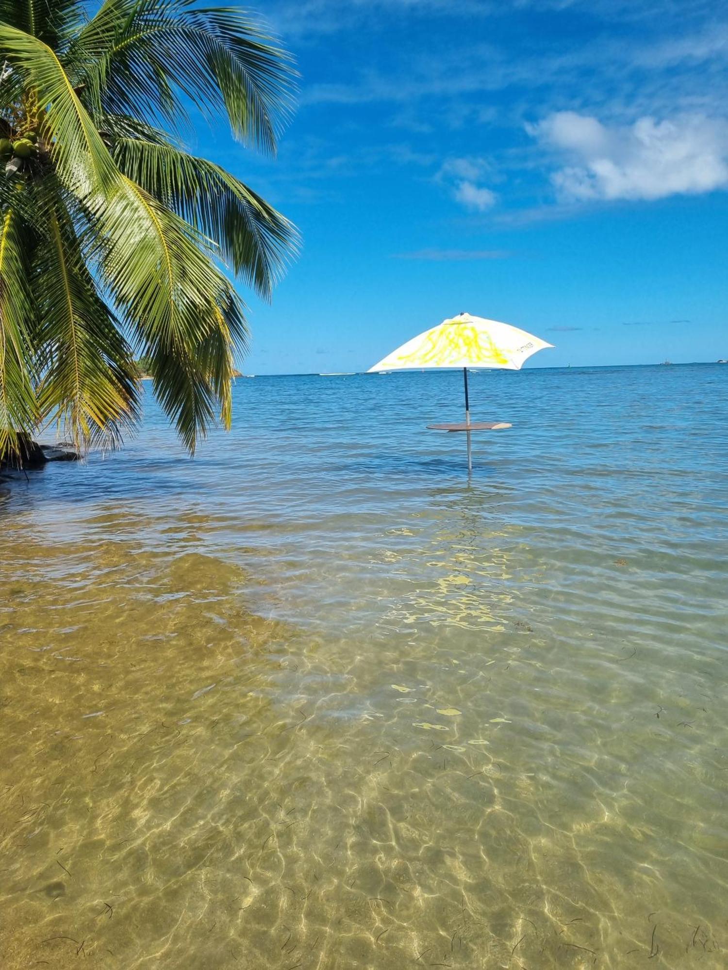 Апартаменти Kozy Kaz - Les Pieds Dans L Eau Ла-Трініте Екстер'єр фото